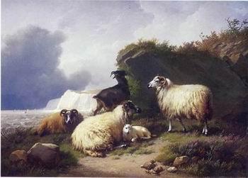 unknow artist Sheep 157 oil painting image